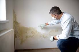 Best Biohazard Mold Removal  in Paincourtville, LA